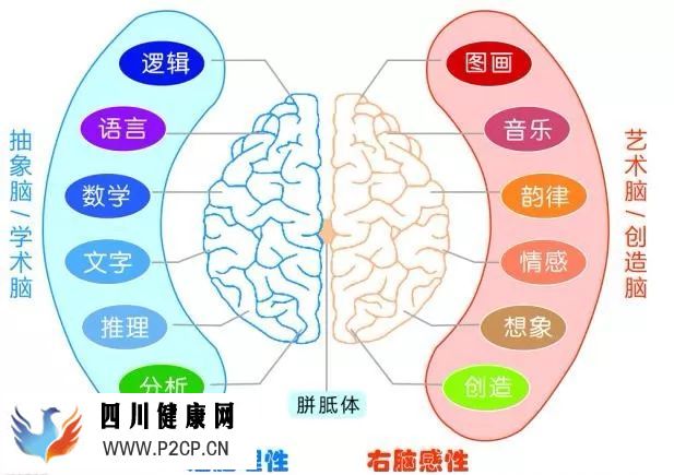 頭腦如何區分音樂和語言？
