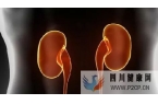 干細胞能不能治療改善腎功能